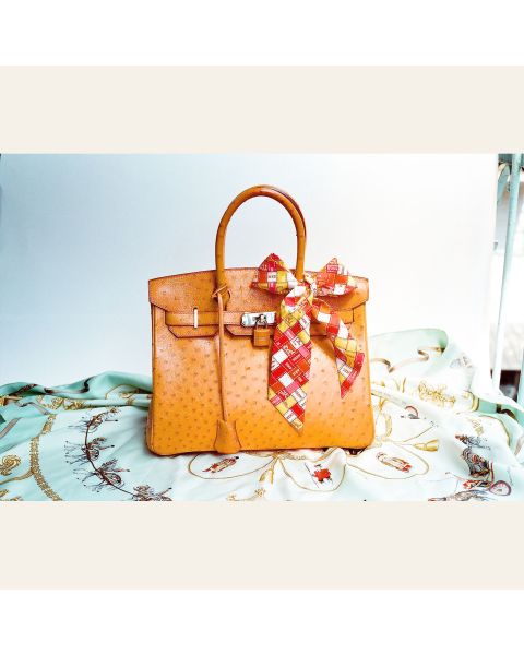 Hermès Constance Mini